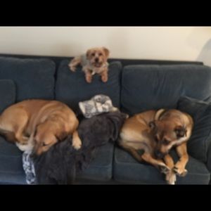 Meet your Posher, Roberta